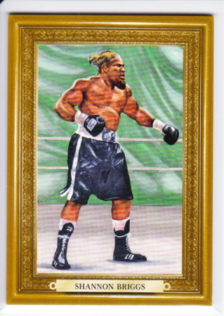 Shannon Briggs /9