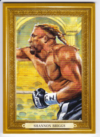 Shannon Briggs /9