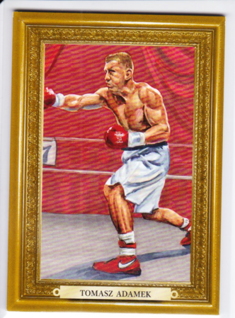 Tomasz Adamek /9