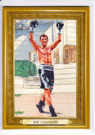 Joe Calzaghe /9