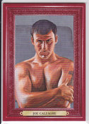 2011 Joe Calzaghe #100