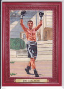 2011 Joe Calzaghe #101