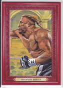 Shannon Briggs #114