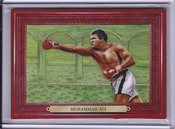 Muhammad Ali SP