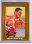 2011 Hector Camacho Jr. /9