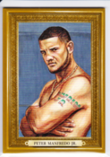2011 Peter Manfredo Jr. /9
