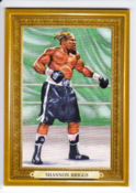 2011 Shannon Briggs /9