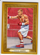 Tomasz Adamek /9