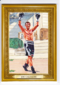 2011 Joe Calzaghe /9